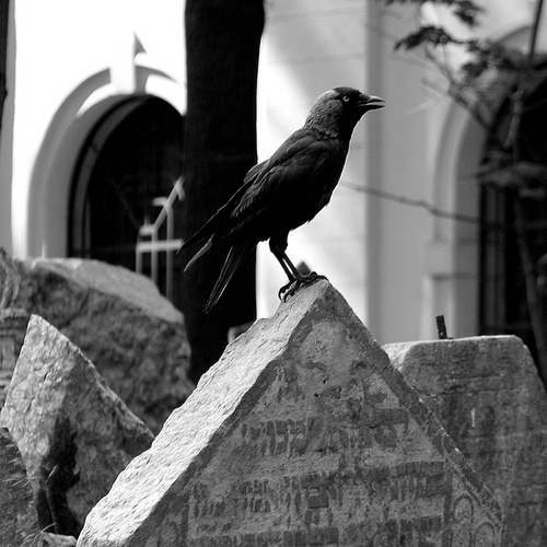Storia in bianco e nero Storia in bianco e nero