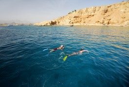Tunisia ed Egitto: ci vado o non ci vado?
