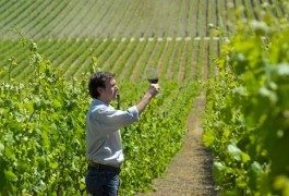 In Cile, seguendo la rotta del vino – 1ª parte