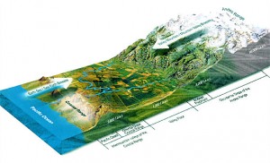 Una mappa della Valle di Colchagua Una mappa della Valle di Colchagua