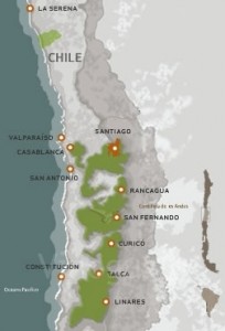Valle del Maipo: qui si producono vini tra i più apprezzati al mondo Valle del Maipo: qui si producono vini tra i più apprezzati al mondo