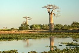 5 meraviglie della natura da ammirare e tutelare