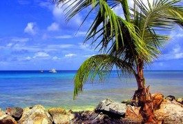 Trinidad e Tobago: il piccolo paradiso dei Caraibi