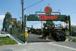 Le offerte imperdibili! Giappone: benvenuti al Jurassic Park Hotel