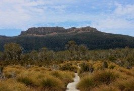 Australia: una nazione che stimola i 5 sensi