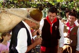 Settembre? A Madeira, per la festa del vino!