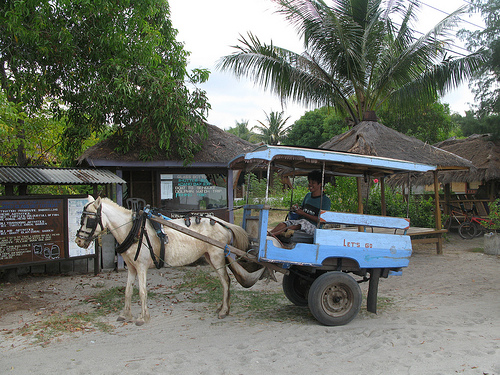 Cidomo sull'isola di Gili, Indonesia (Foto:. AnnieGreenSprings - Flickr cc.) Cidomo sull'isola di Gili, Indonesia (Foto:. AnnieGreenSprings - Flickr cc.)