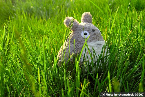 Il mio vicino Totoro