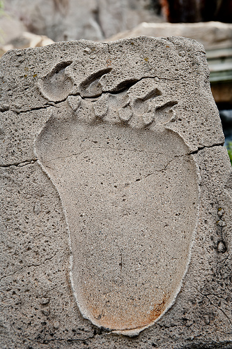 Orme di Yeti, Disneyland