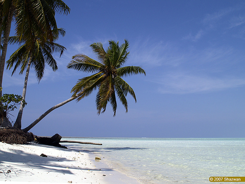 Spiaggia delle Maldive