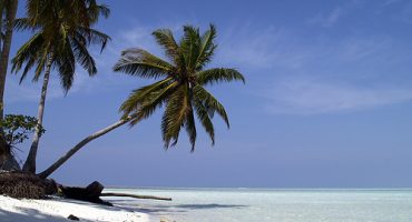 Il giro del mondo in 4 consigli