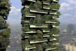 Chi non ha mai sognato una casetta su un albero?
