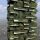 Il Bosco verticale