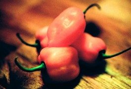 Peperoncini decisamente troppo piccanti…