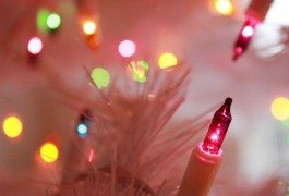 Ciò che i viaggiatori desiderano per Natale