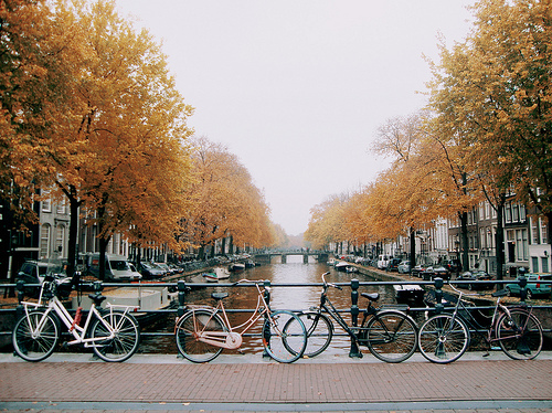 Biciclette Biciclette