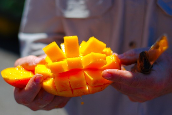 Frutta del Costa Rica