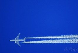 Ambiente: ecco la tassa sulle emissioni di carbonio