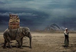 2011: gli articoli più letti