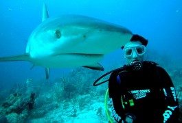 Amante delle immersioni? Ecco dove!