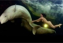 Immersioni sorprendenti