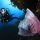 diving, secondo appuntamento