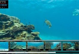 Google, i tentacoli del gigante raggiungono i fondali