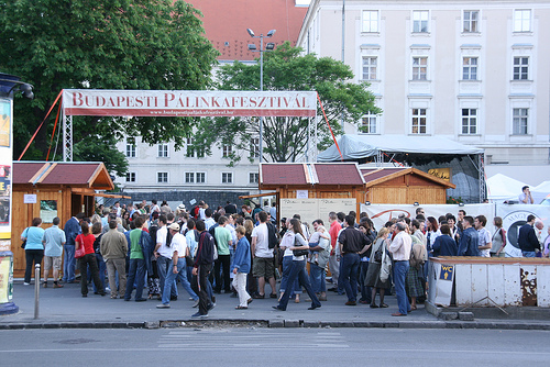 palinka-festival