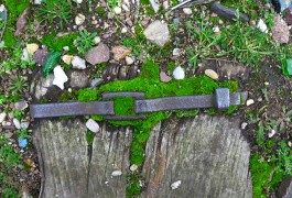 Perdersi a Parigi: sui binari della Petite Ceinture