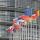 Parlemento Europeo