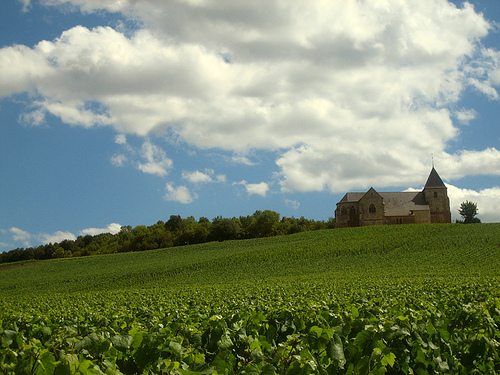 Campagne di Champagne