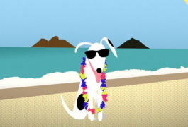 CouchSurfing per cani!