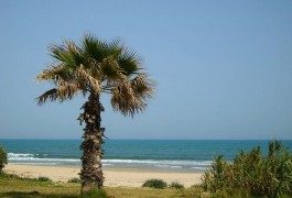 Capitolo sicurezza: Tunisia sì o no?