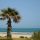 Mare tunisino
