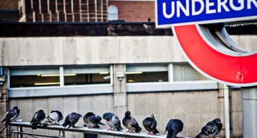 Due passi a Londra con i senzatetto