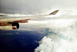 Volatili e incidenti aerei