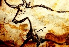 Le Grotte di Lascaux come non le avevi mai viste