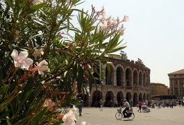 Vivere Verona