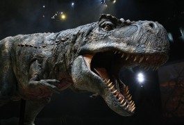 I dinosauri tornano in Europa!
