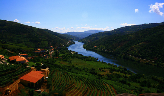 panoramica
