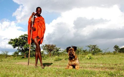 Africa
