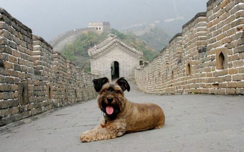 Cina