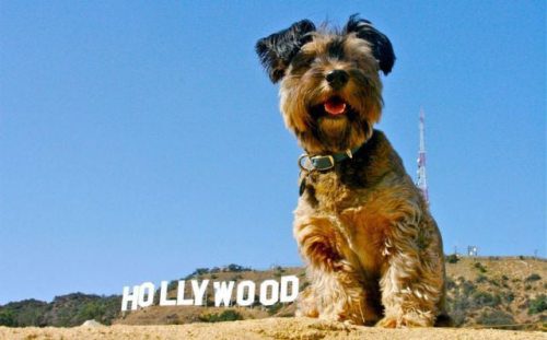 Hollywood