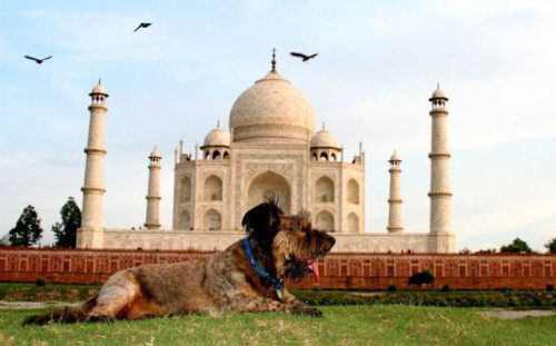 India