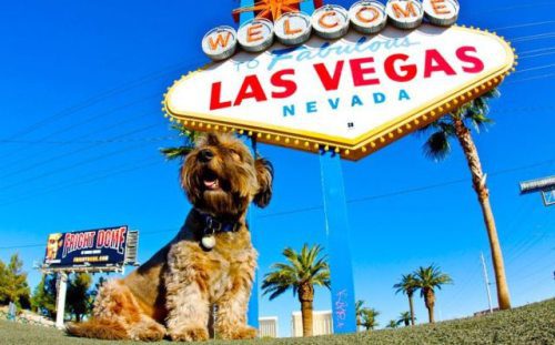 Las Vegas