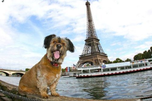 Parigi