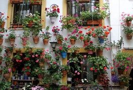 In Spagna a maggio, alla scoperta dei cortili di Cordova!