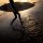 surf