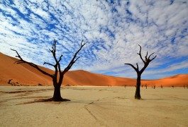 Quando la realtà va oltre l’immaginazione