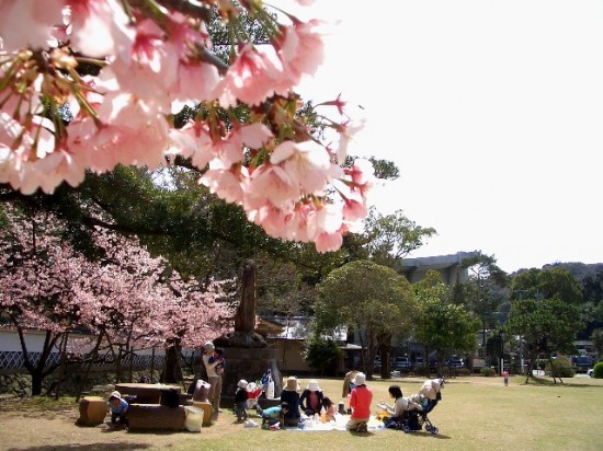 pic-nic